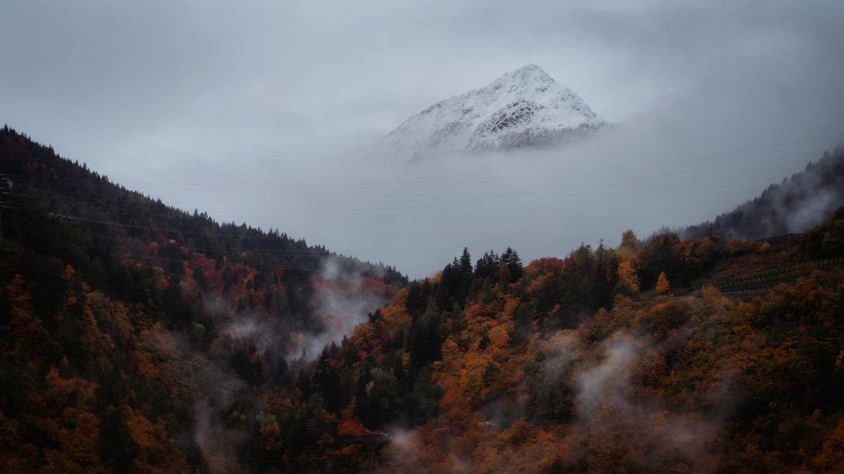 A snowy peak above the clouds over an autumn forest
