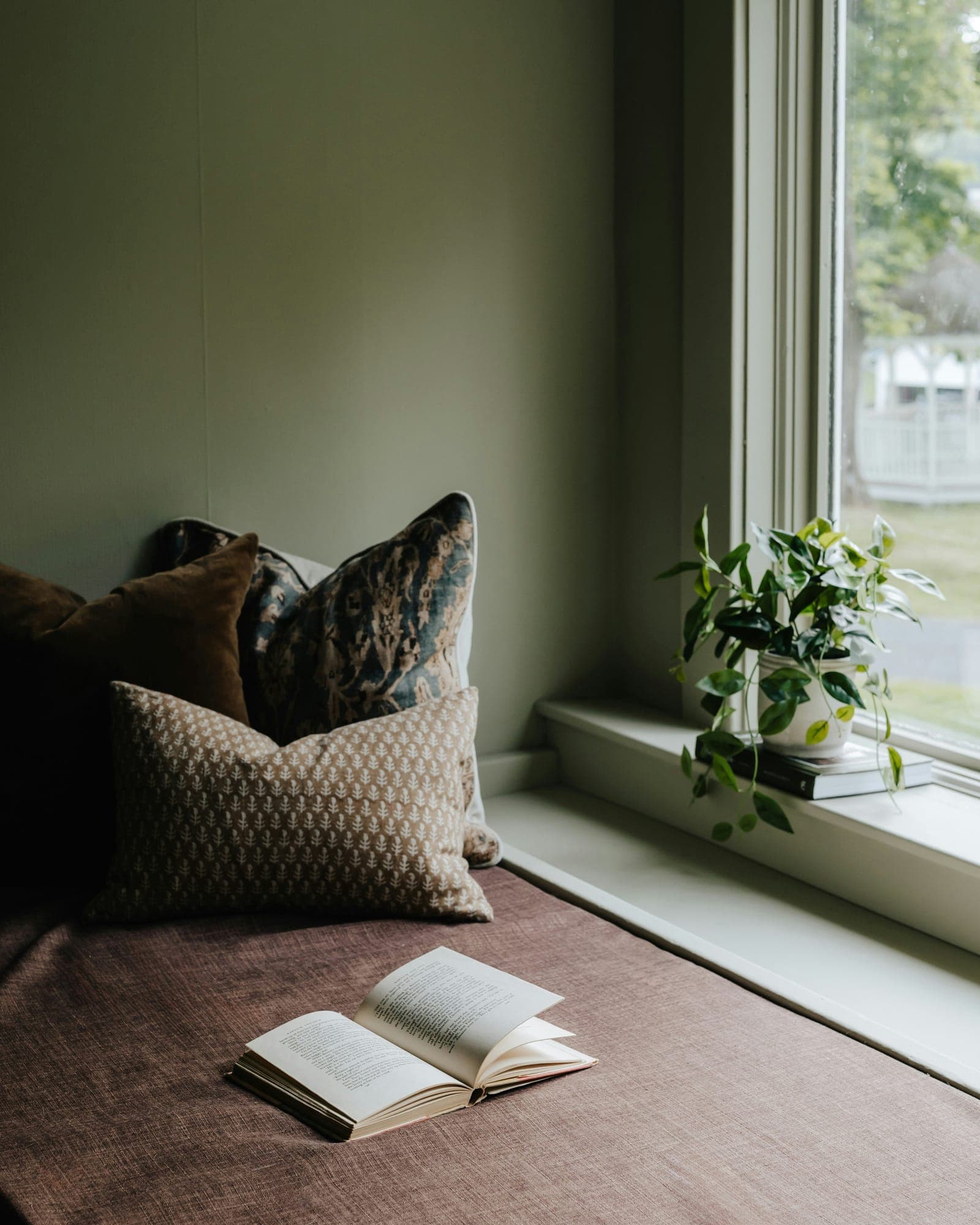 Cushions on a window seat beside a potted plant